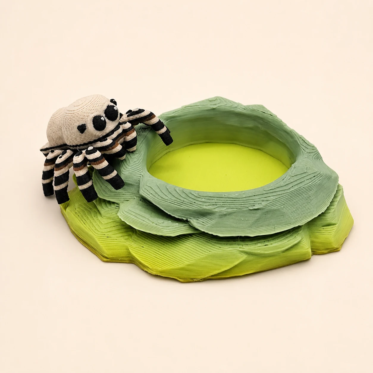 Limited-edition Jumping Spider