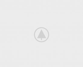 wood-portfolio-placeholder wood-portfolio-placeholder