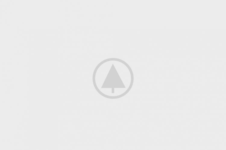 wood-portfolio-placeholder wood-portfolio-placeholder