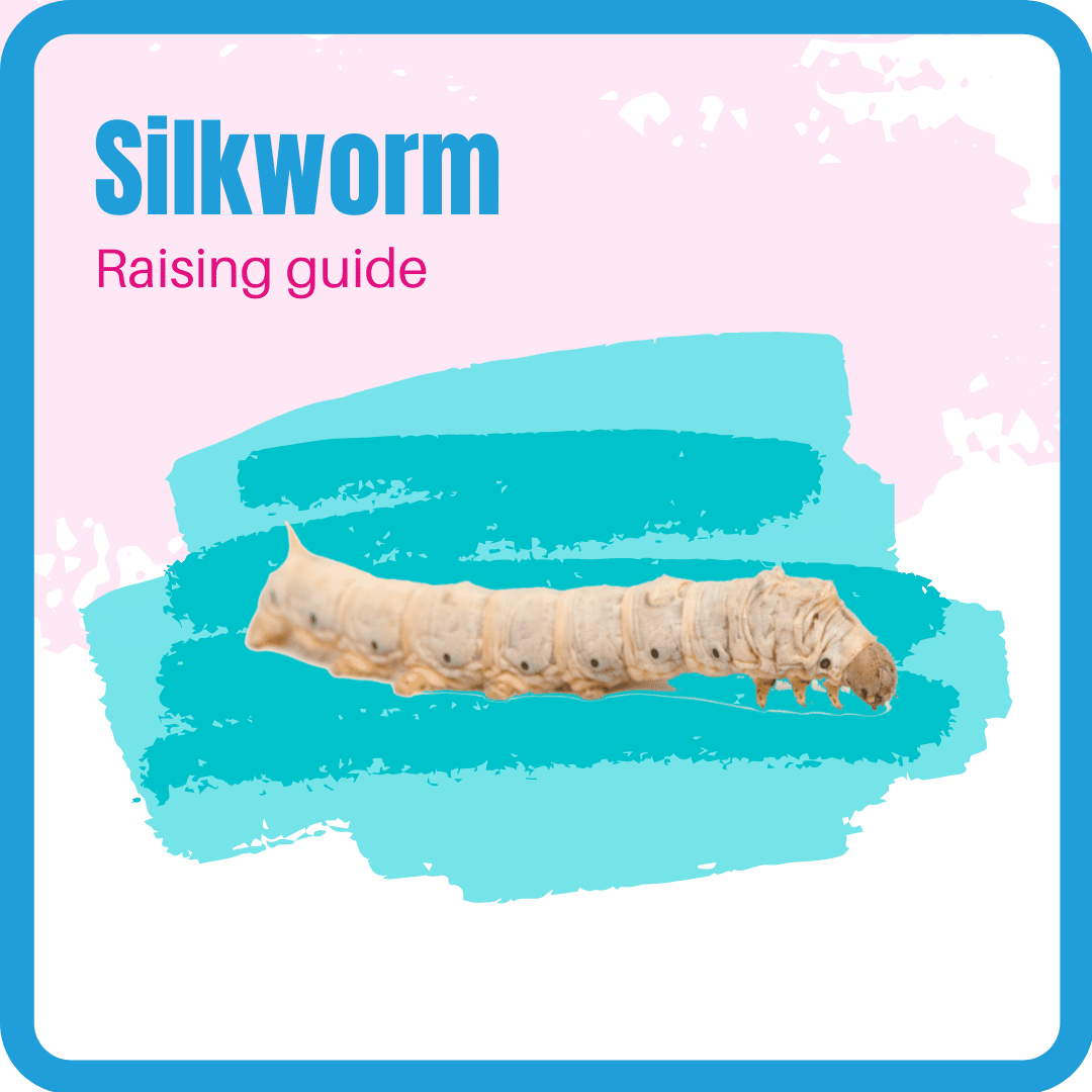 Articles - Silkworm Store