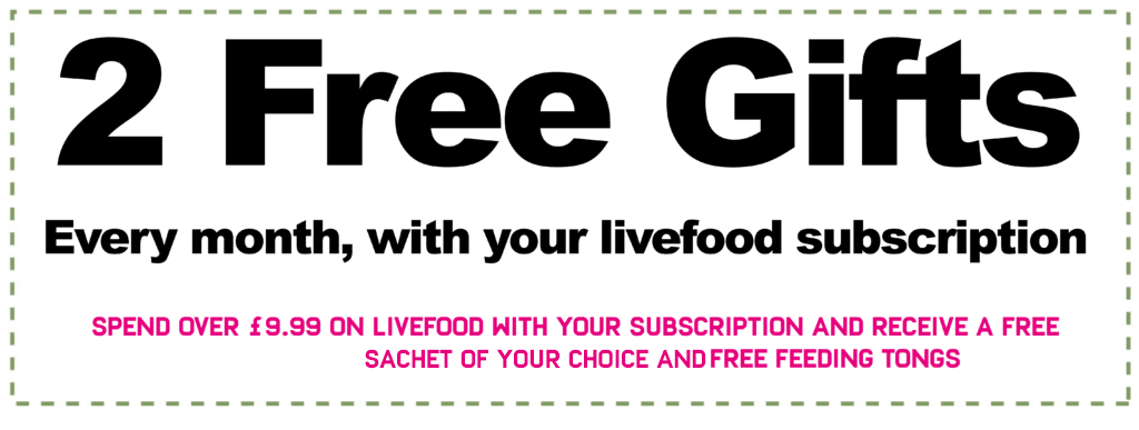freebies2