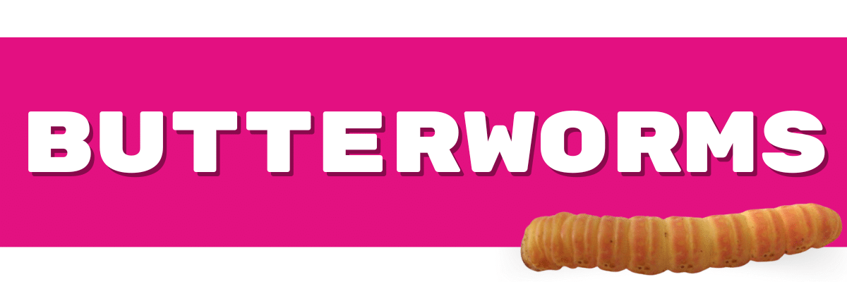 butterl