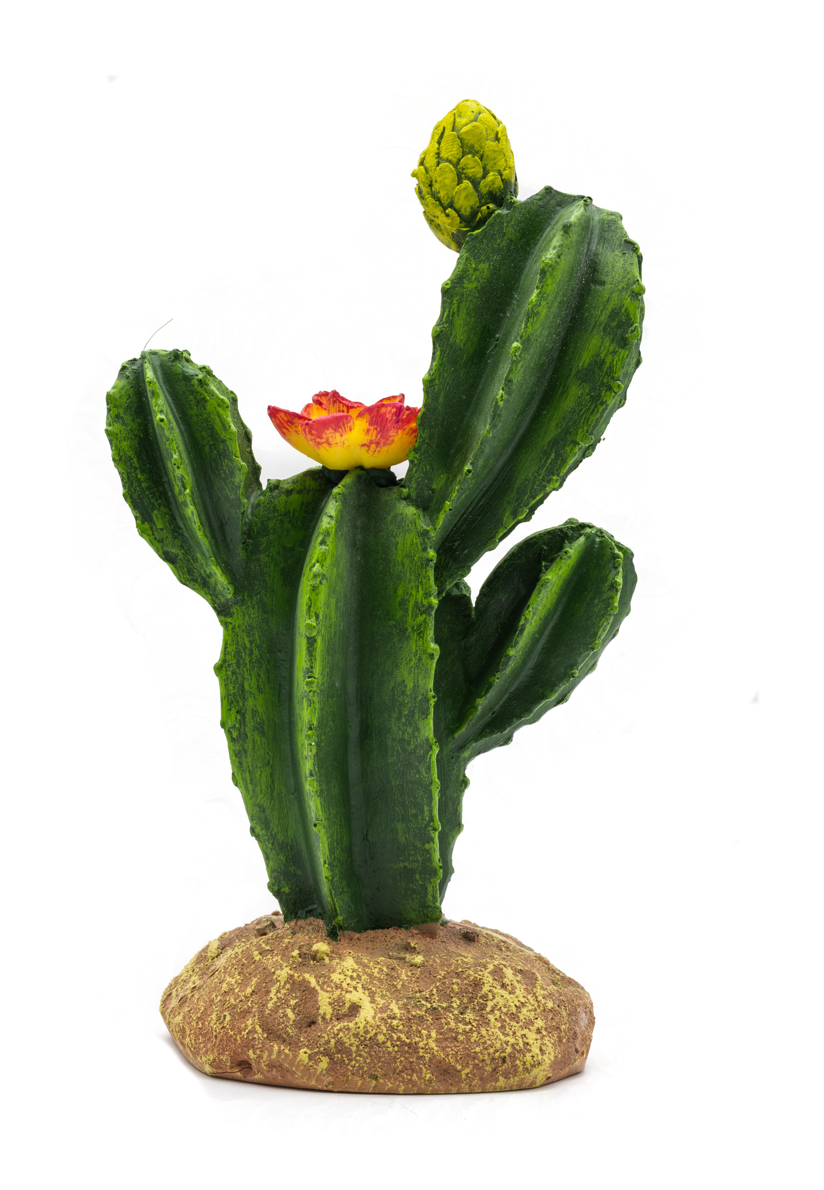 ProRep Flowering Cactus Med 16.5x10.5x22.5cm PP204