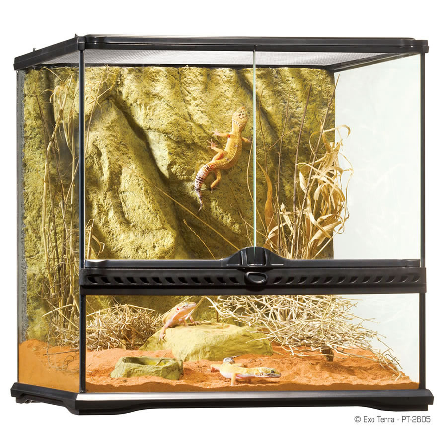 Exo Terra Terrarium Sml/Wide 45x45x45cm,  (H)