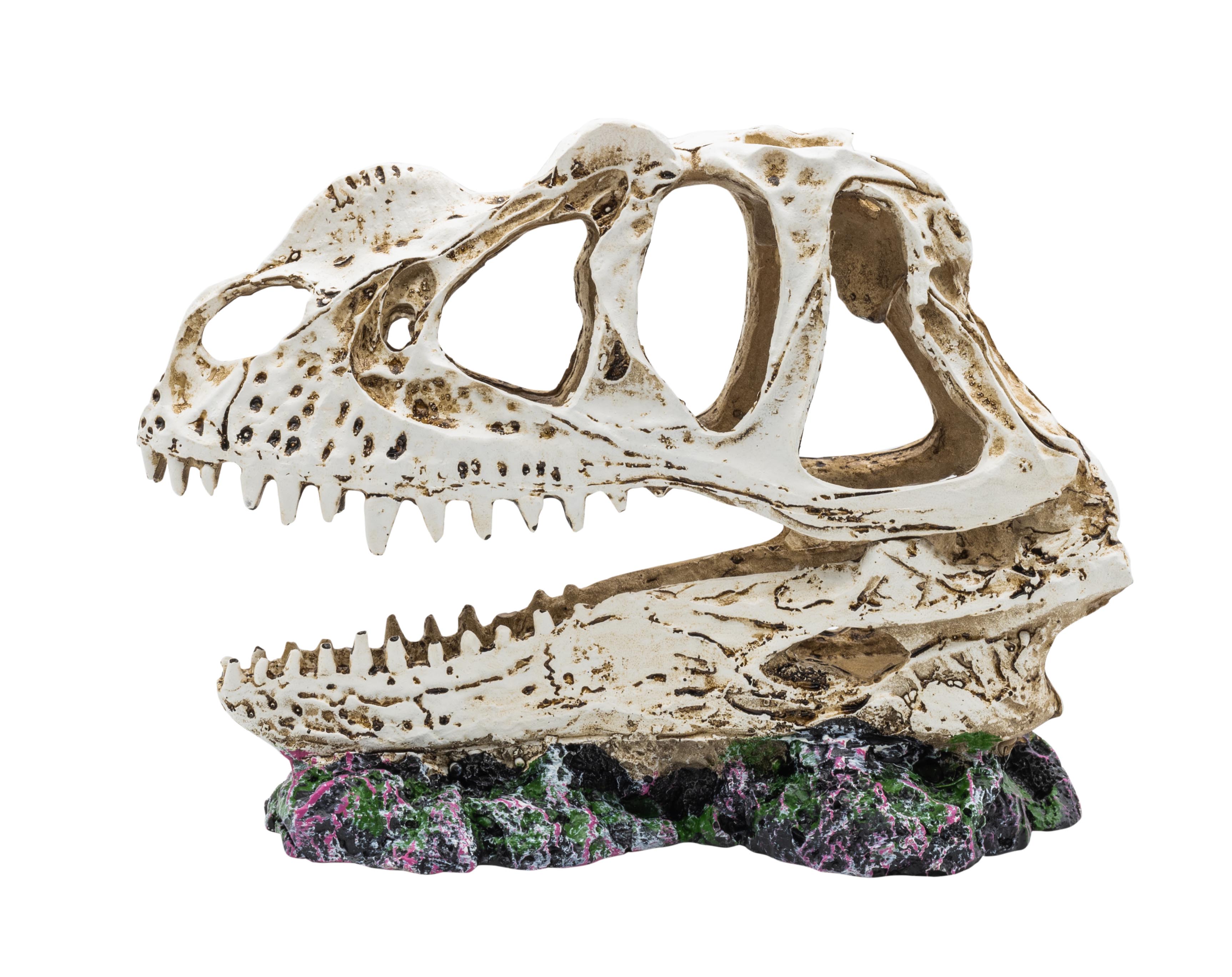 ProRep Ceratosuarus Skull 19x9x14cm