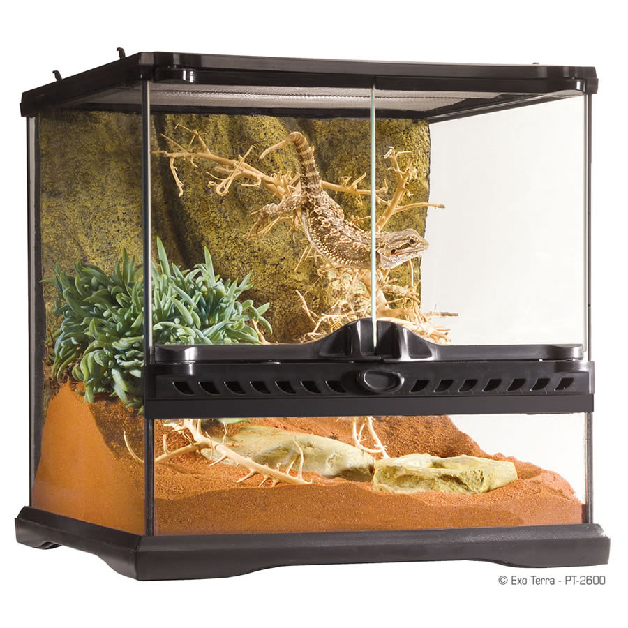 Exo Terra Terrarium Mini/Wide 30x30x30cm,