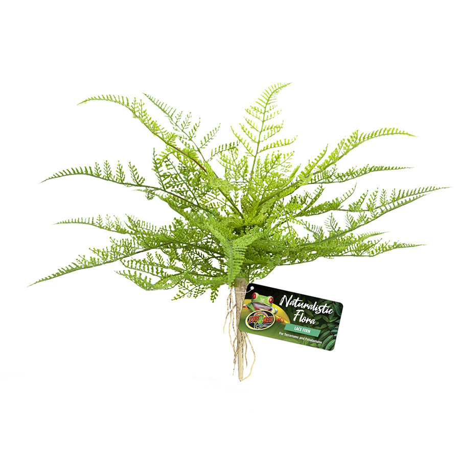 Zoo Med Naturalistic Flora Lace Fern, BU-62