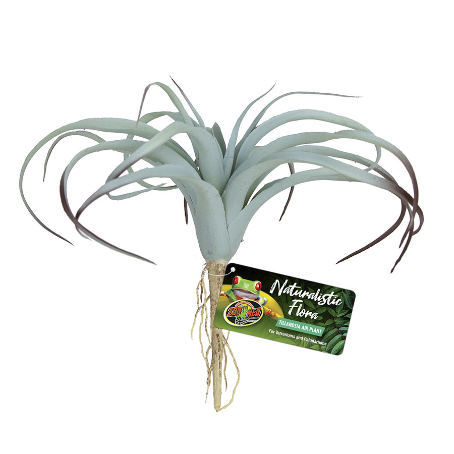 Zoo Med Naturalistic Flora Tillandsia Air Plant, BU-64