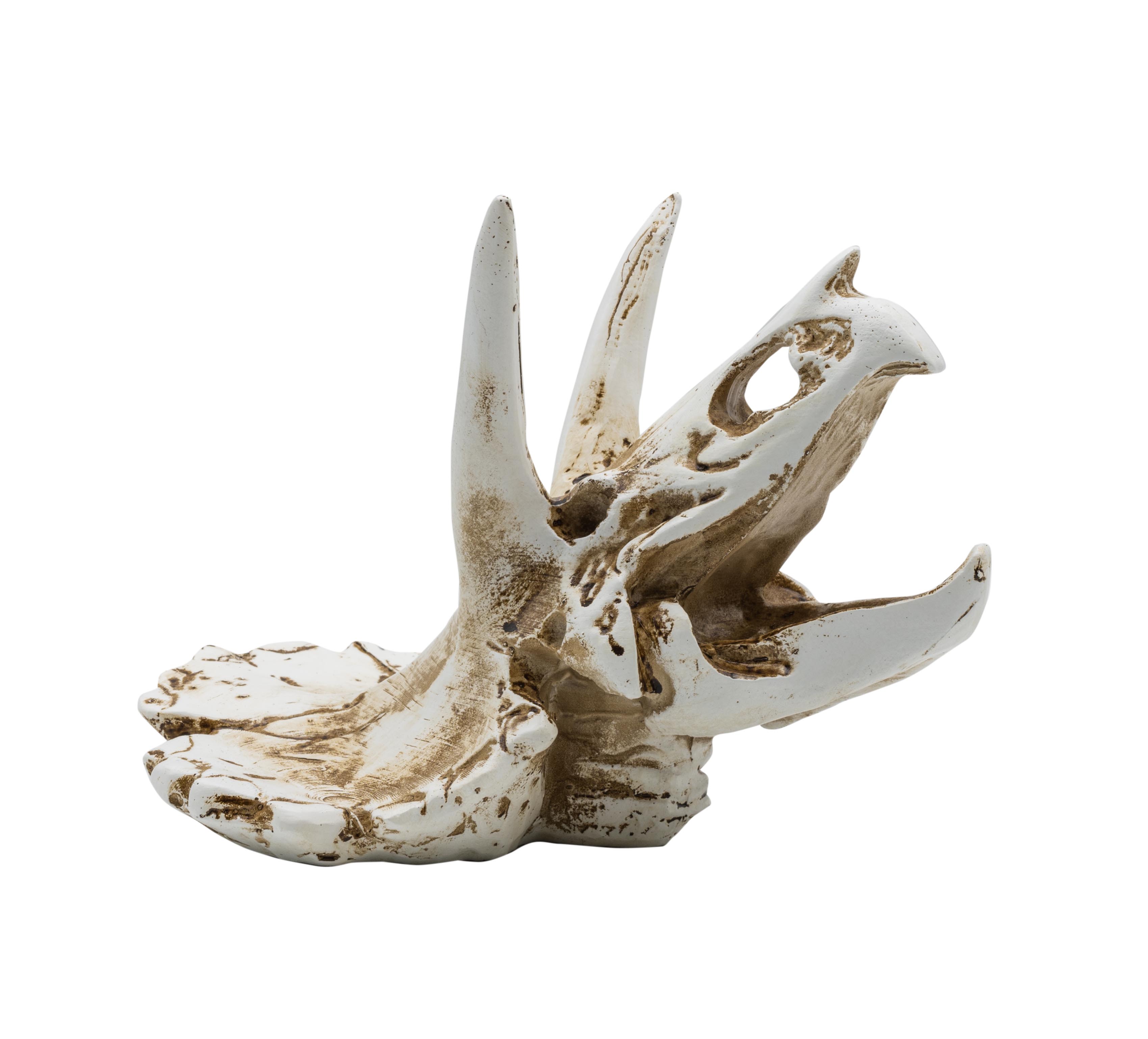 ProRep Triceratops Skull 17x12x12.5cm