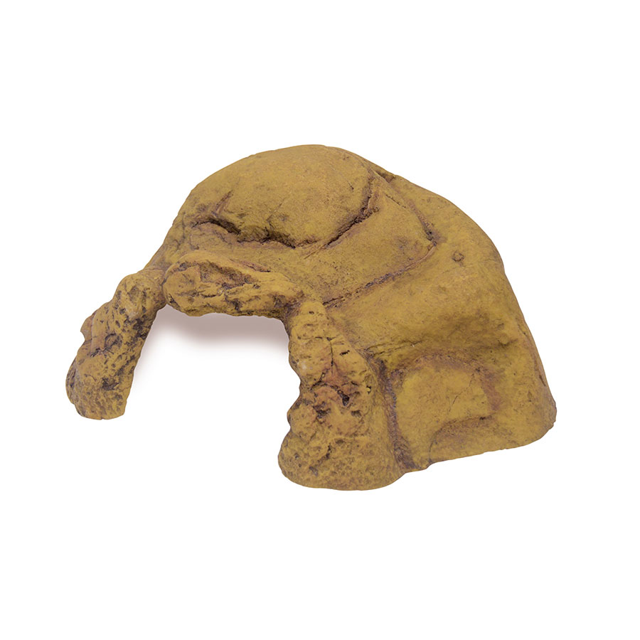 Exo Terra Reptile Hiding Cave XX Large,