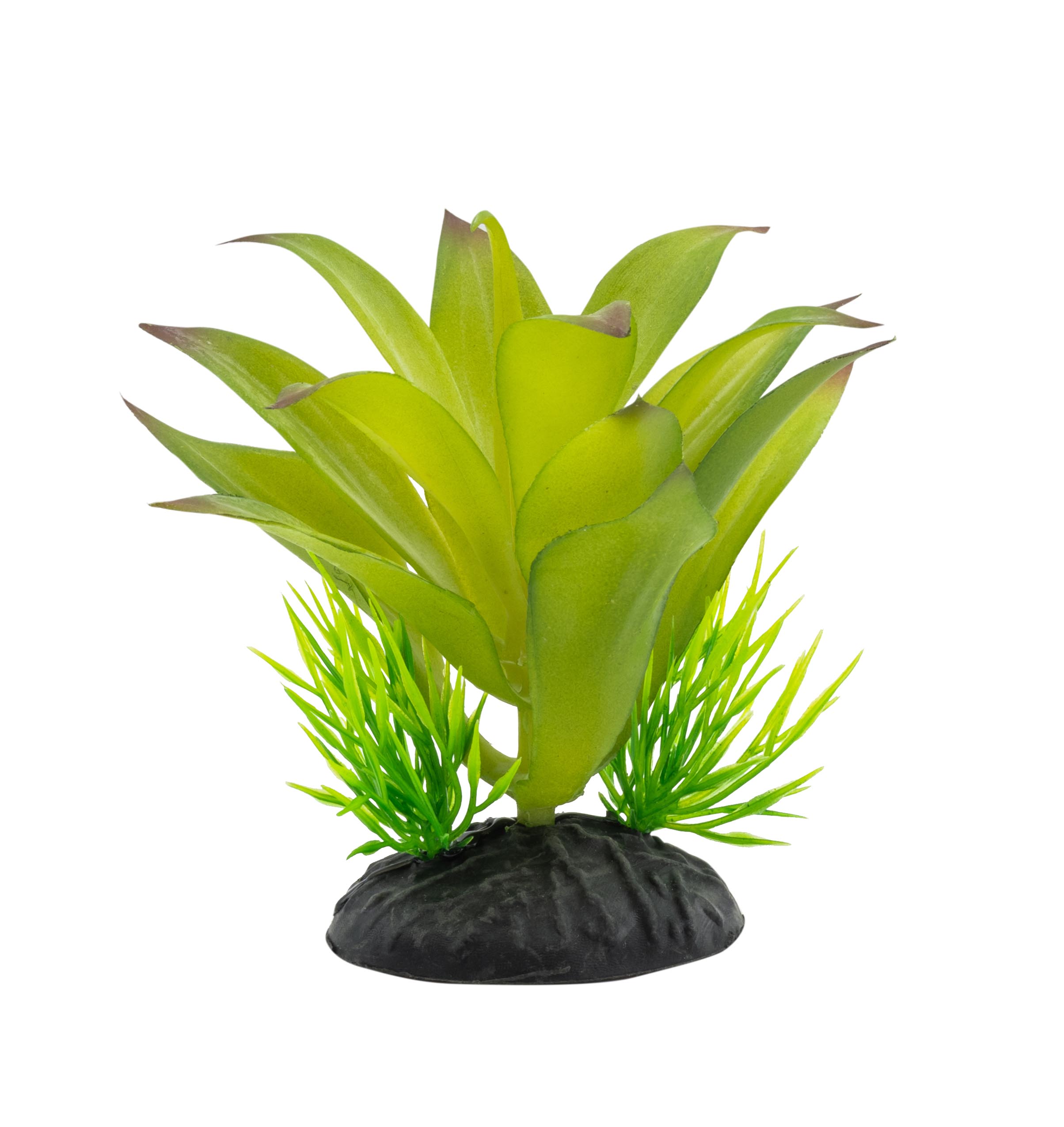 ProRep Sanseviria Plant 10cm