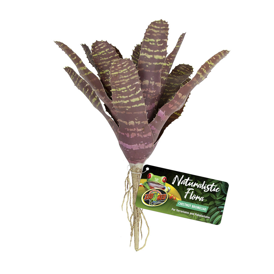 Zoo Med Naturalistic Flora Chestnut Bromeliad, BU-61