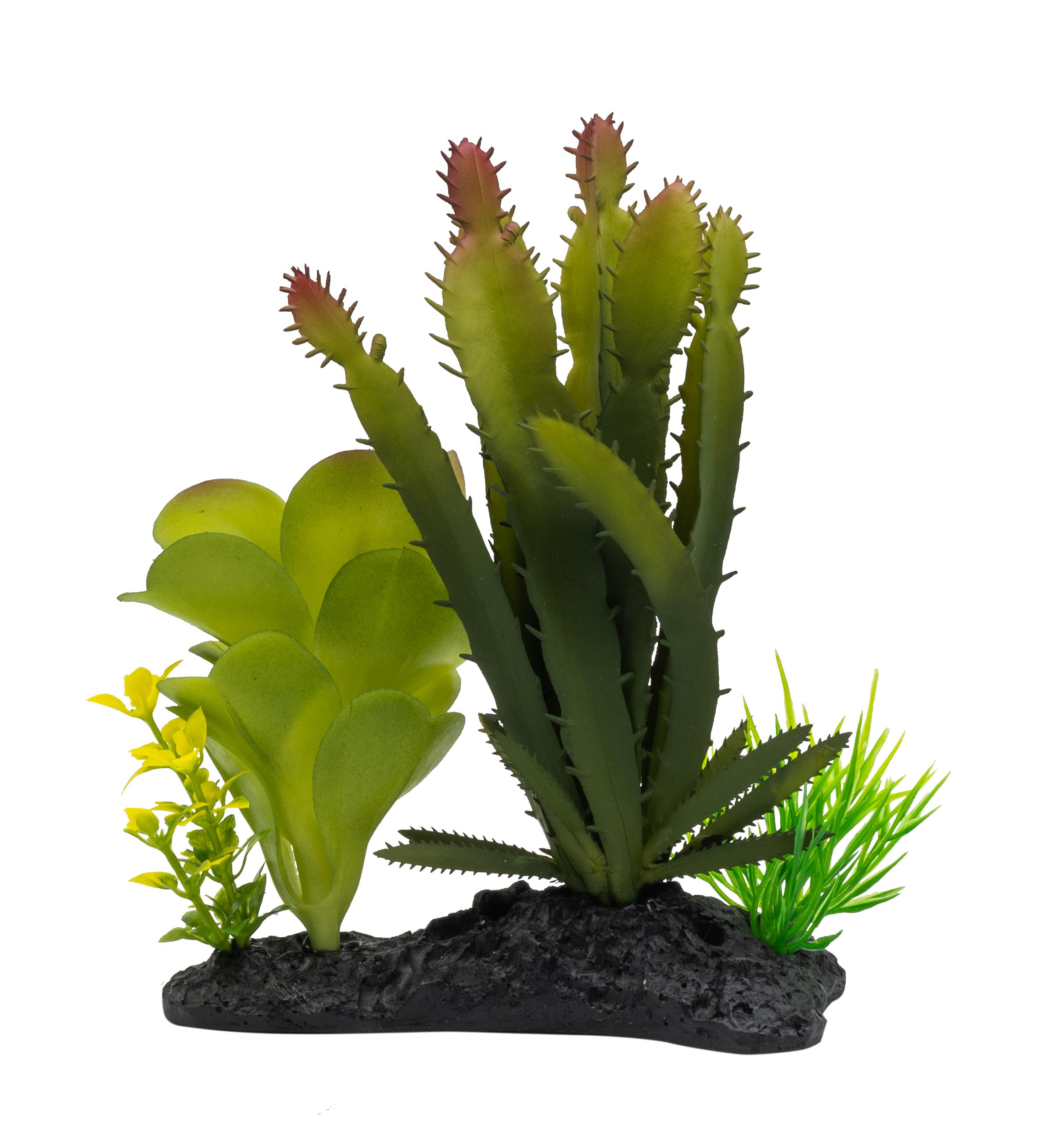 ProRep Euphorbia Plant on Log 15cm