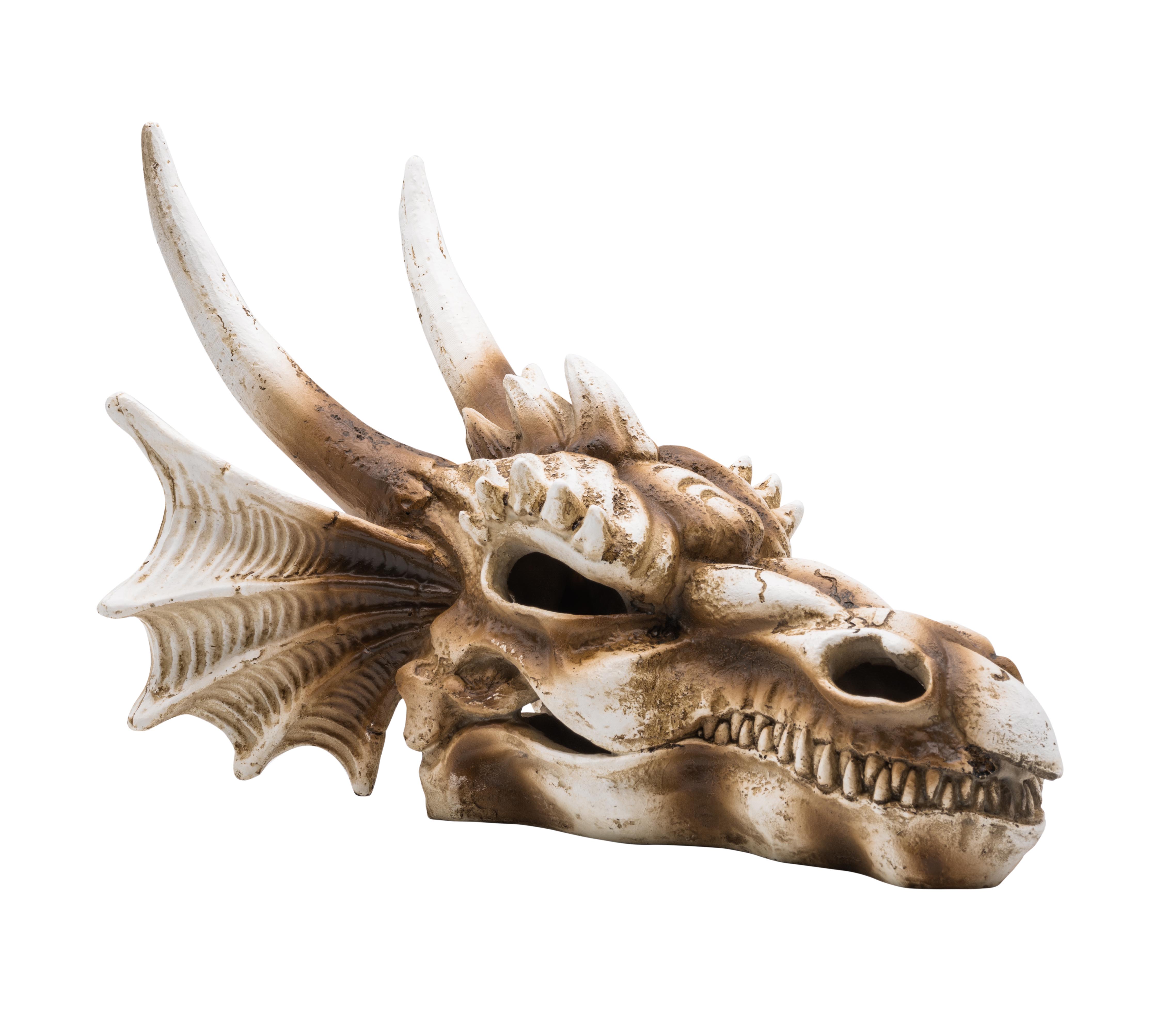 ProRep Dragon Skull Lrg 28.5x21.5x19.5cm