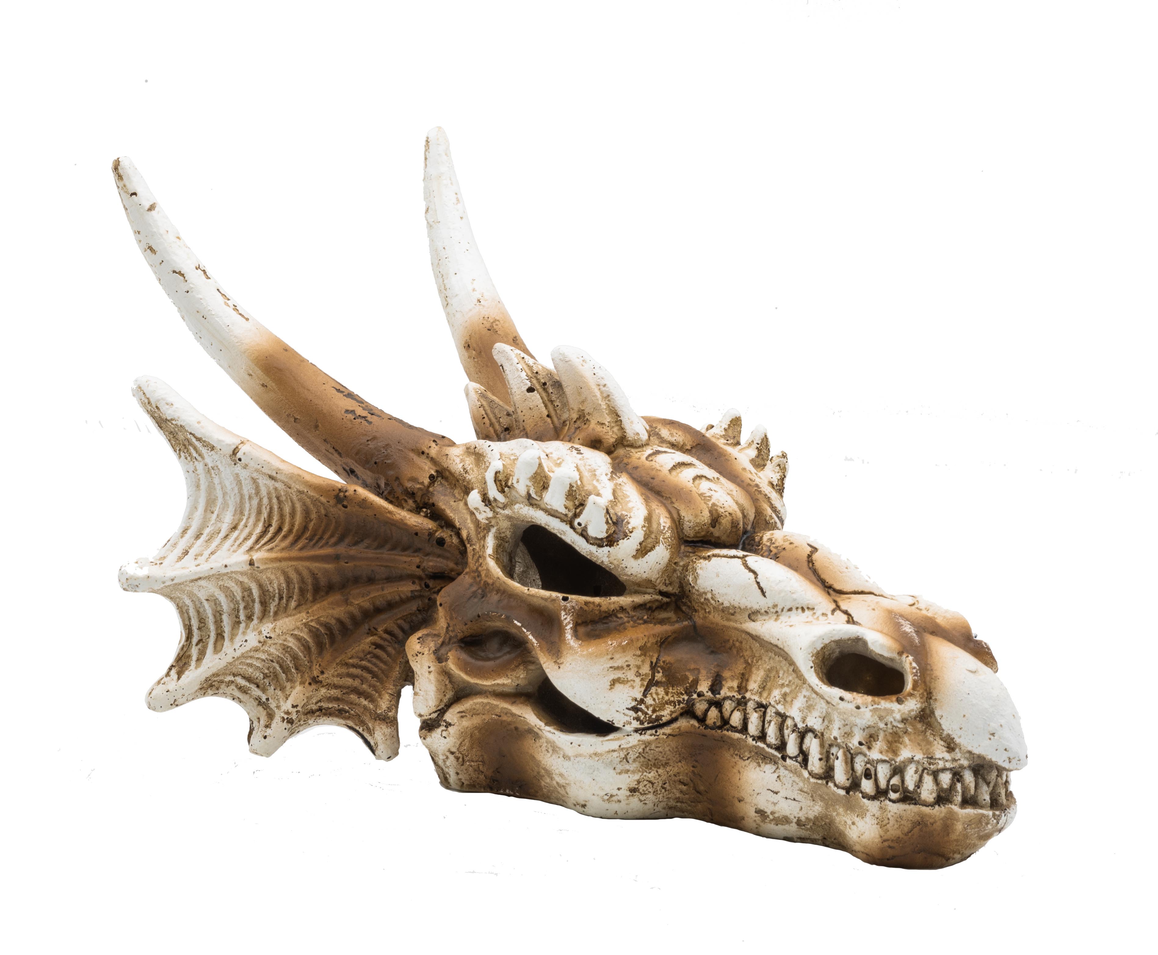 ProRep Dragon Skull Med 19.5x14.8x13.5cm