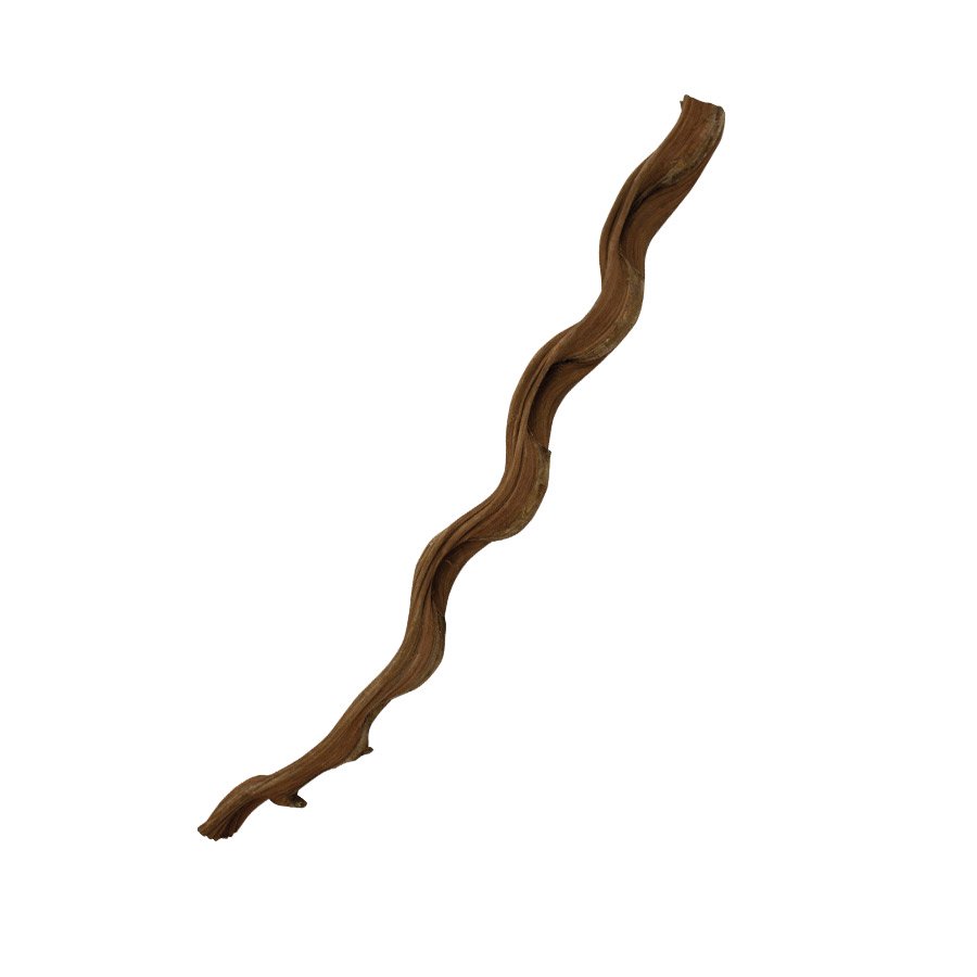 ProRep Natural Snake Vine, 60cm
