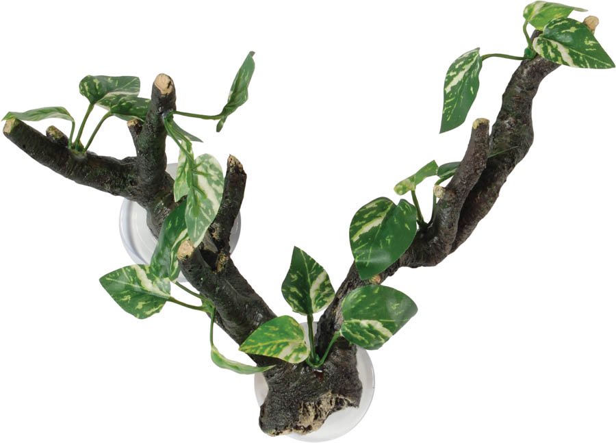 Repstyle Branch with Flora Sucker Mount 25cm