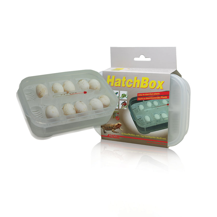 Lucky Reptile Hatchbox Incubation Tray, HB-01