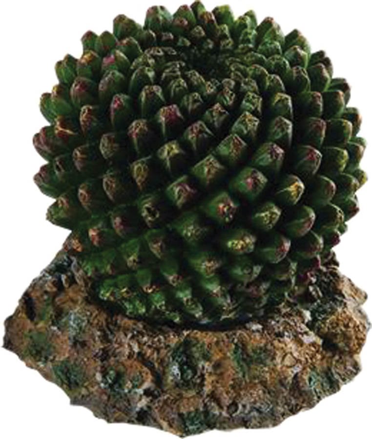 Repstyle Cactus with Rock Base 7.5 x 7.5 x 7cm