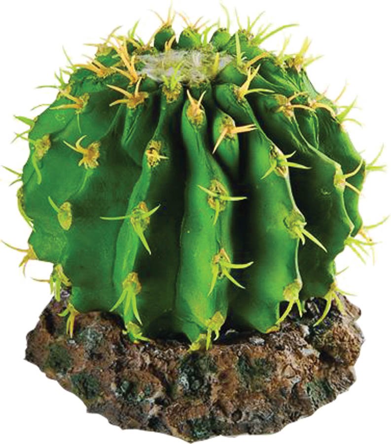 Repstyle Cactus with Rock Base 10 x 10 x 8cm