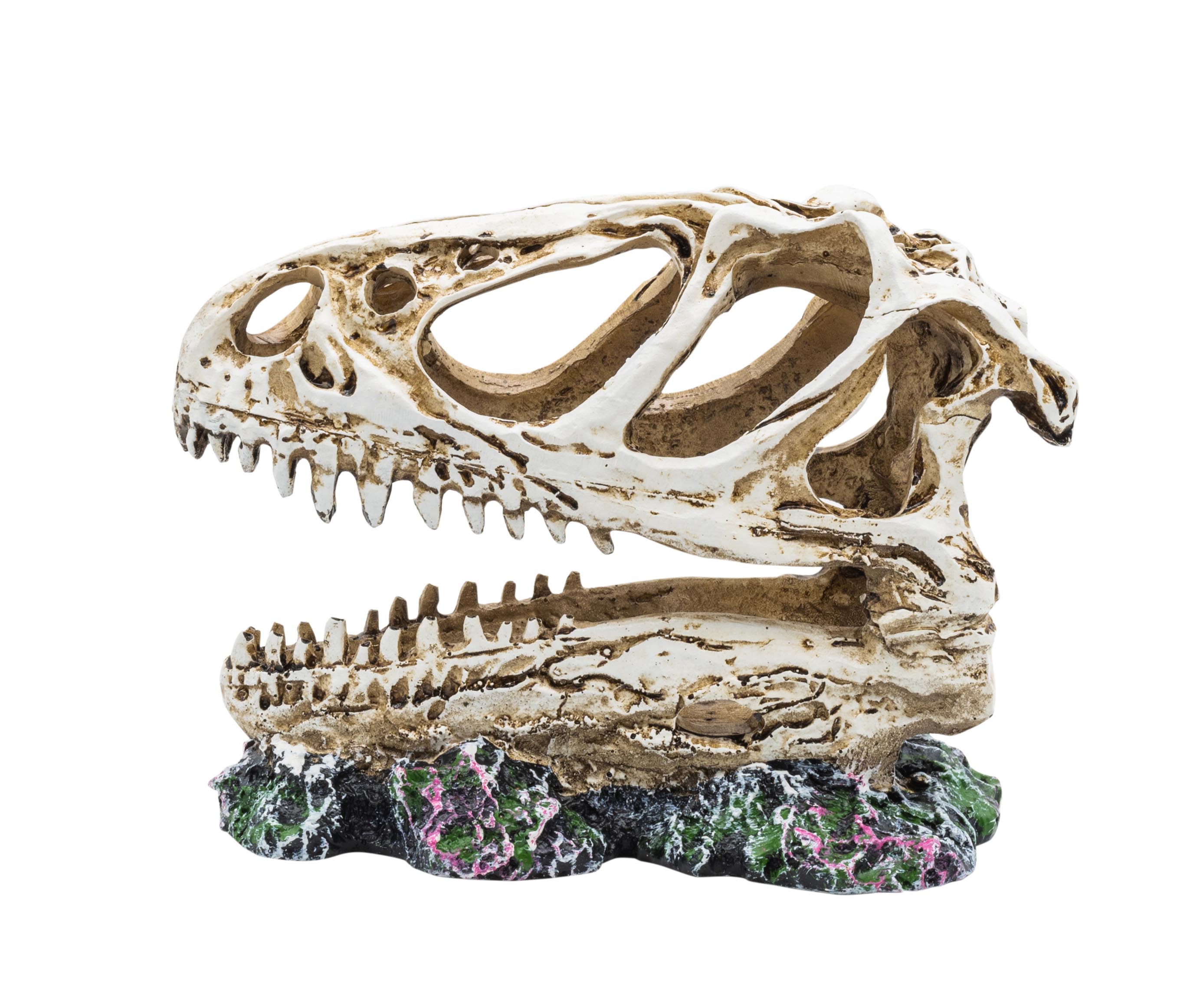 ProRep Allosaurus Skull 12.5x6x10cm
