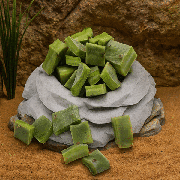Prickly Pear Pads (Opuntia) - Image 2