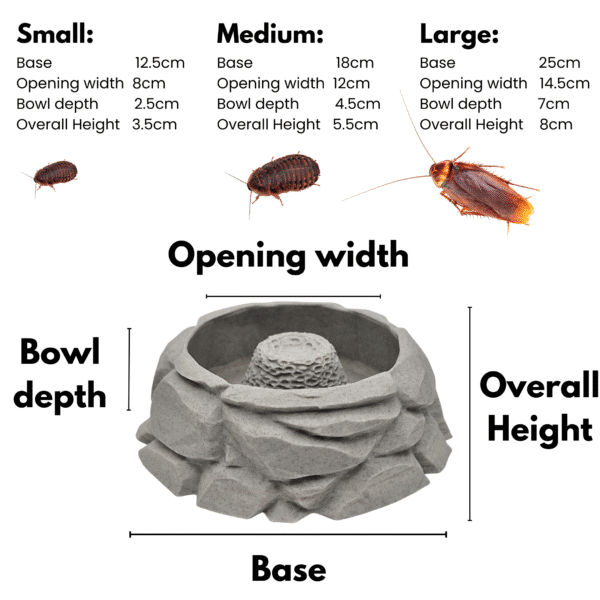 Dubia Roach Feeding Bowl - Escape Proof - Image 5