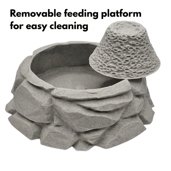 Dubia Roach Feeding Bowl - Escape Proof - Image 4