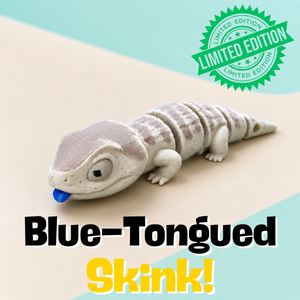 Blue Tongue Skink